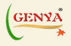 Genya Orman Ürünleri San. Ve Tic. Ltd Şti Genya Orman Ürünleri San. Ve Tic. Ltd Şti