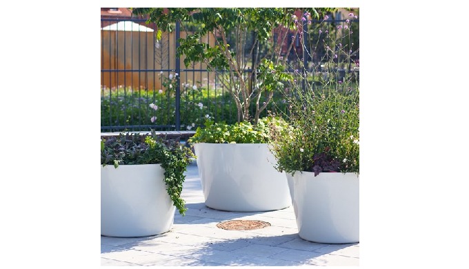 Fakta Fiber, Blomsterkummer