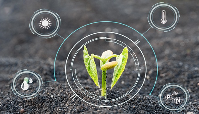 Aménagement Agricole