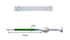 Biliary Stent with Delivery System