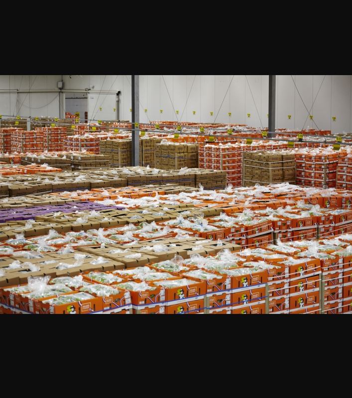 Service de conservation de vos marchandises par Conhexa