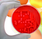 Analyses microbiologiques