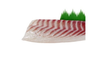 sea bream fillets | premium quality fish fillet