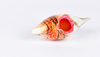 murano glass seashell