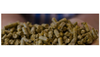 Organic Natural Additives for Animal Feed | LIPTOSE
