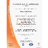 MS Quality Management Systems