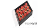 Premium Korean Fresh Apple (4.5kg)
