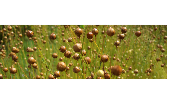 Willkommen bei der Churov GmbH