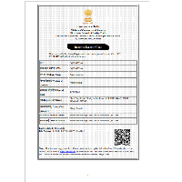 Import Export Code