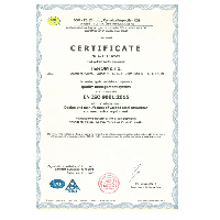 ISO 9001