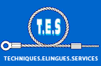 TECHNIQUES ELINGUES SERVICES TECHNIQUES ELINGUES SERVICES