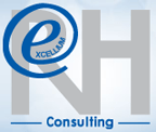 EXCELLIUM RH CONSULTING EXCELLIUM RH CONSULTING